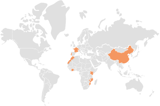 Chaucot Dubost In - Notre présence à l'international