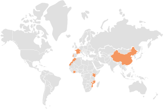 Carte - Notre présence à l'international